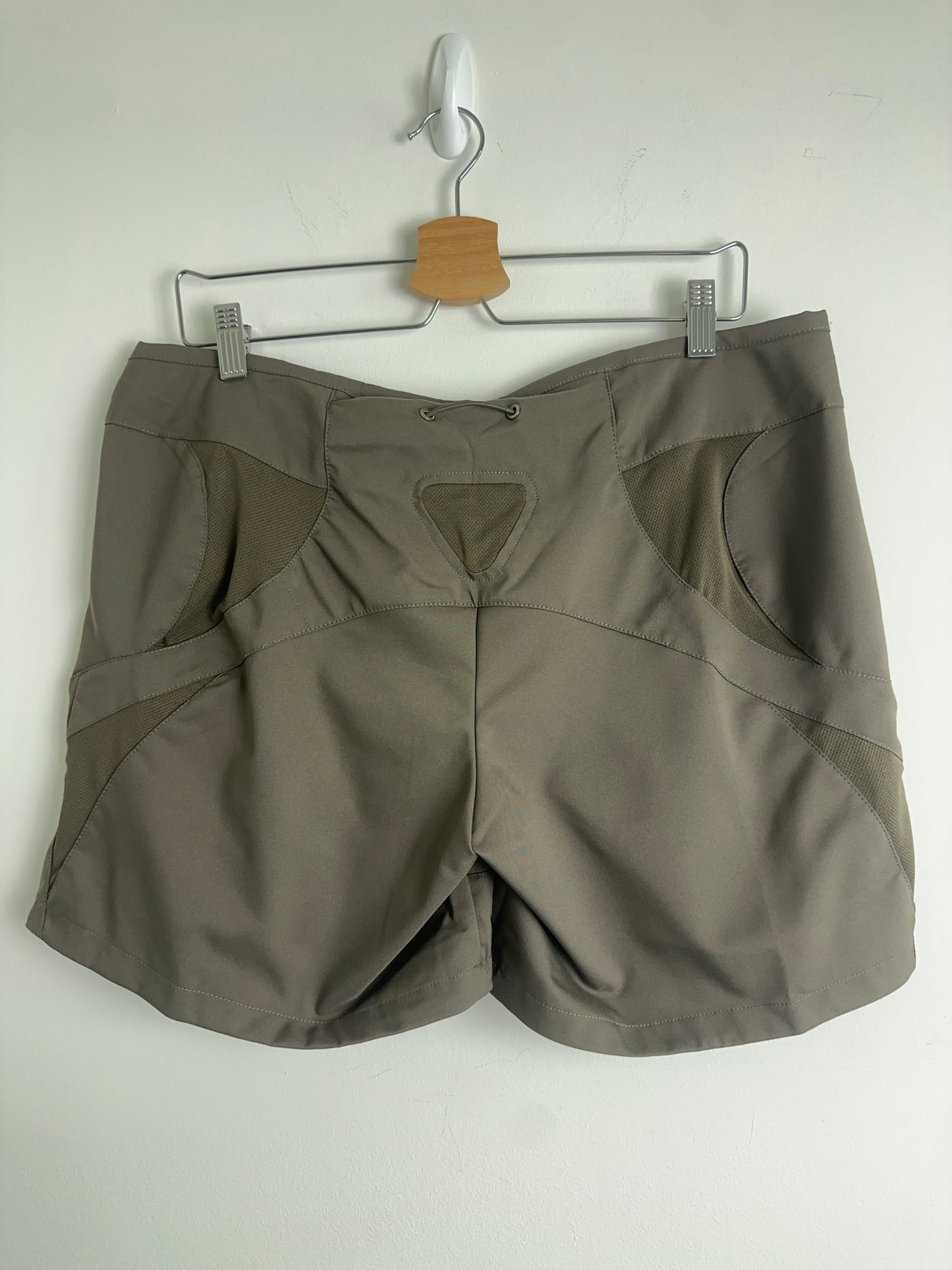 2006 BNWT Nike ACG Shorts (L)
