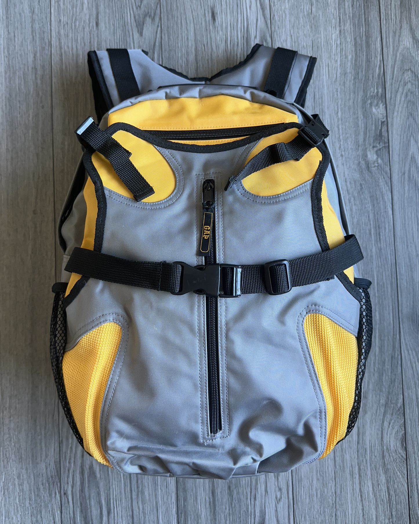 2002 GAP Backpack