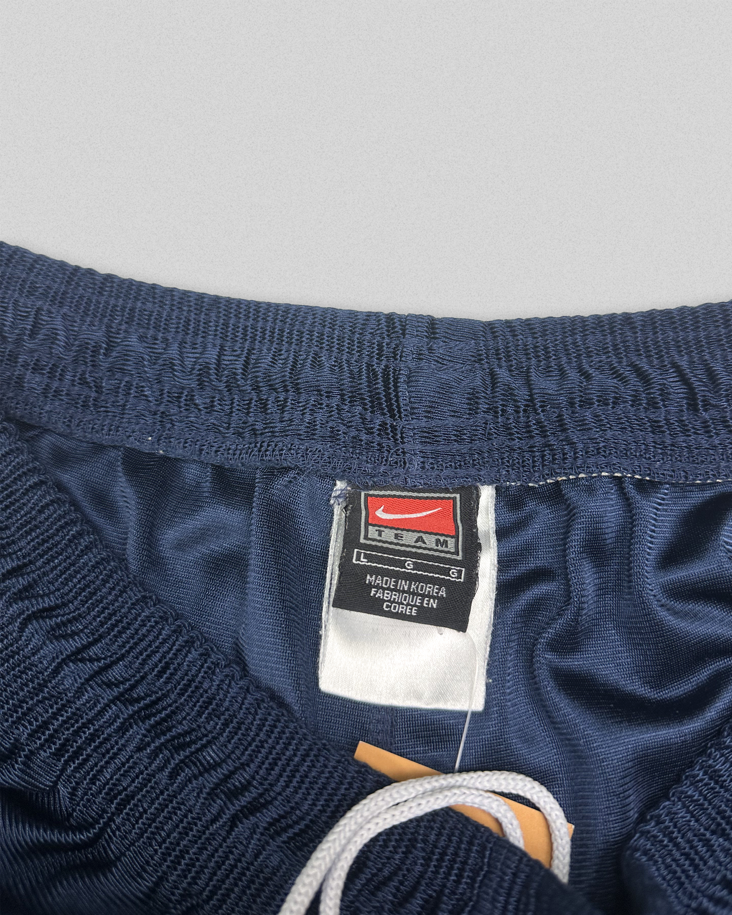 01' Nike Michigan Shorts (L)