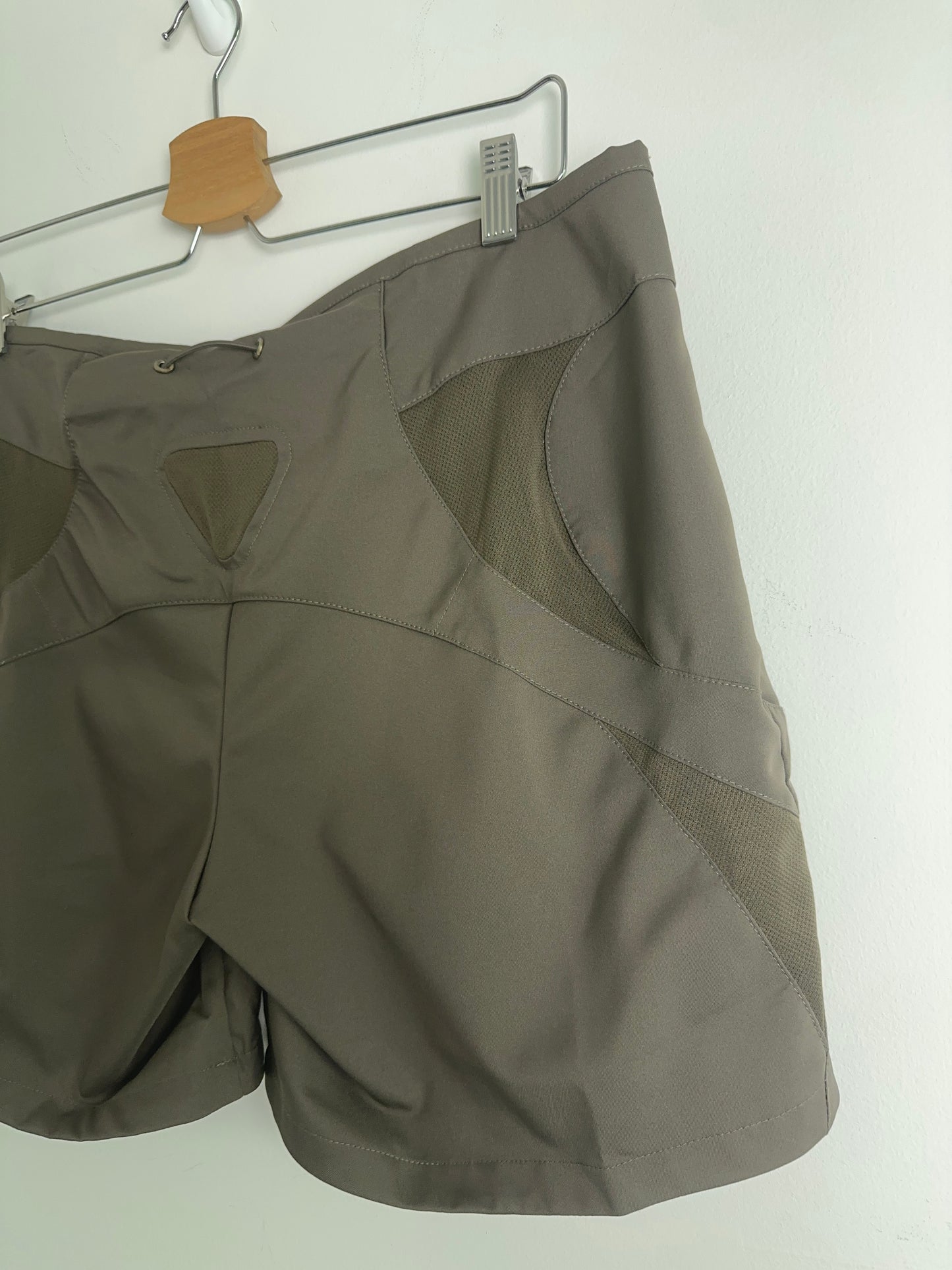 2006 BNWT Nike ACG Shorts (L)