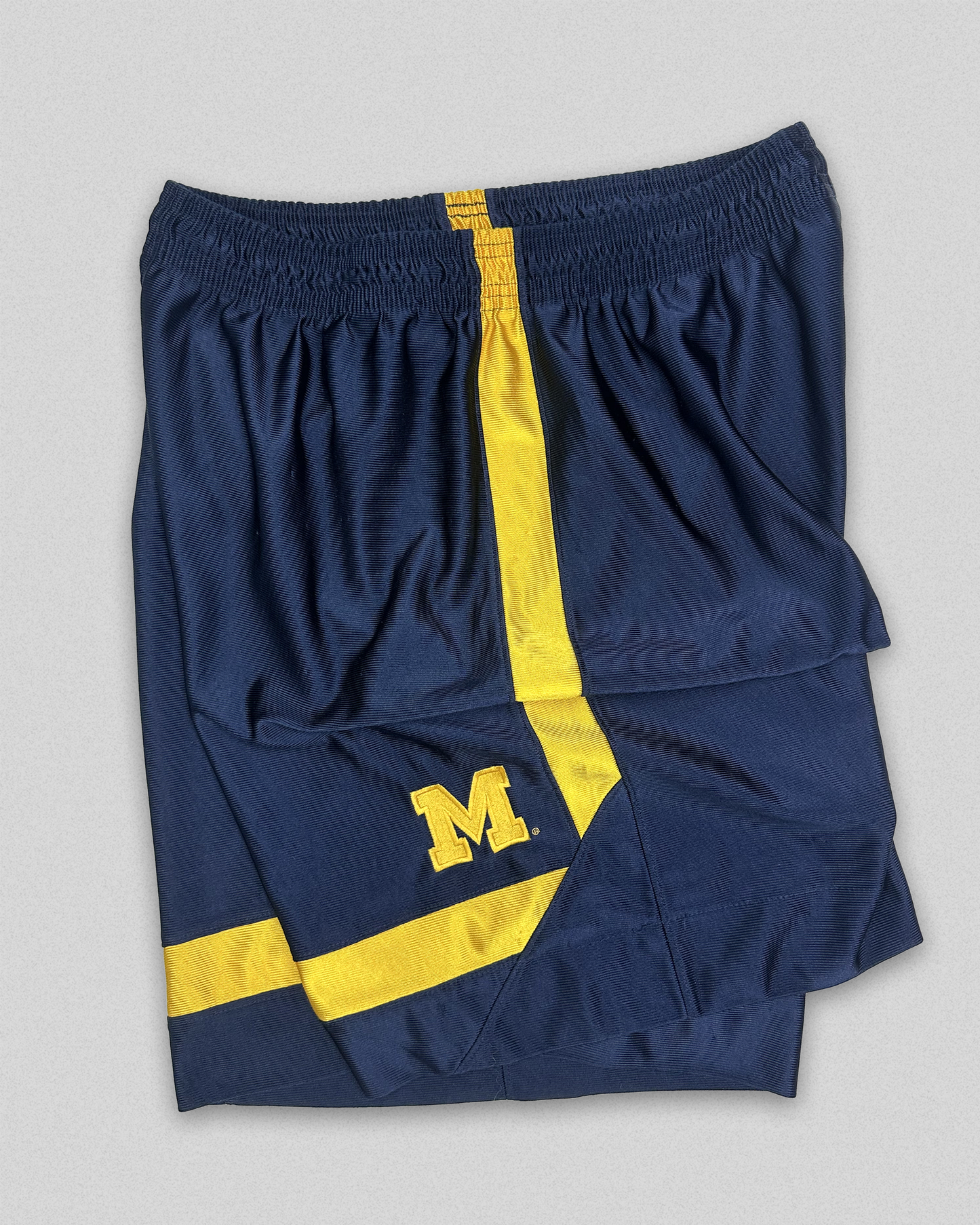 01' Nike Michigan Shorts (L)
