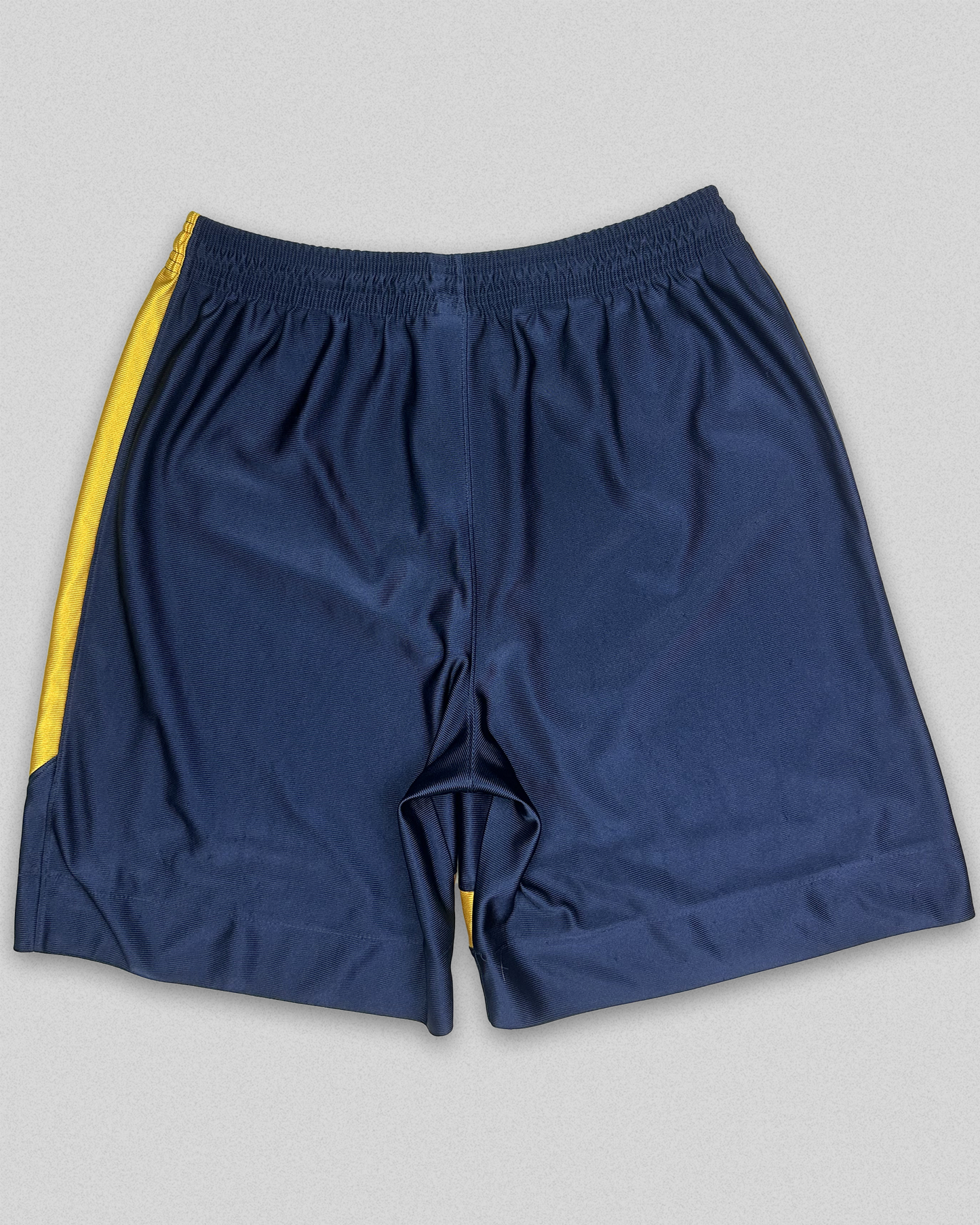 01' Nike Michigan Shorts (L)